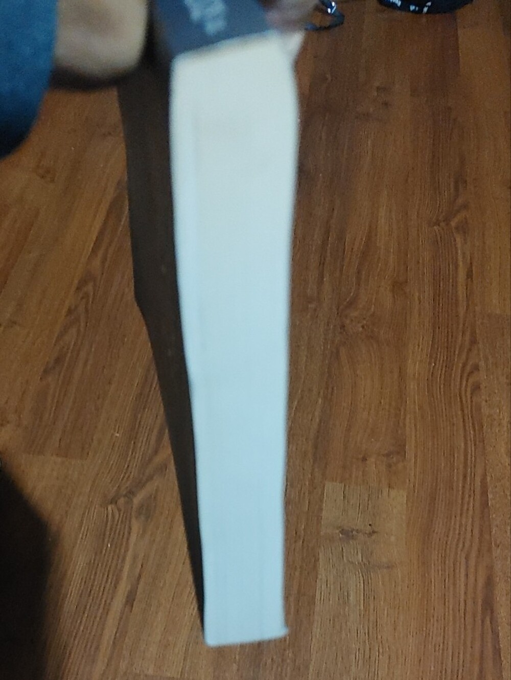 To Ride a Silver Broomstick Book - Picture 5 of 7